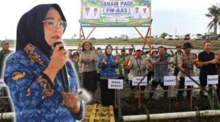 Wakil Bupati Morowali hadiri Gerakan tanam padi PM-AAS di desa Lambelu, Kecamatan Bumi Raya, Kamis 30 Juli 2026. Foto: Dok/Ghaff.